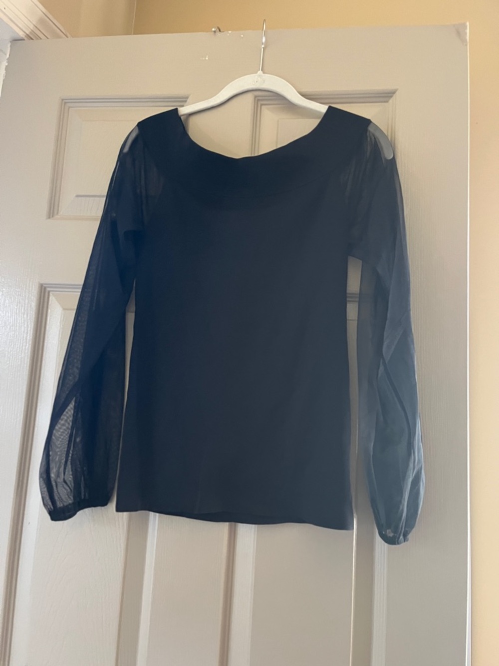 Sheer Sleeve Black Women's Top